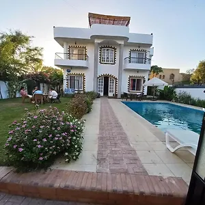 Ali Luxury Louxor